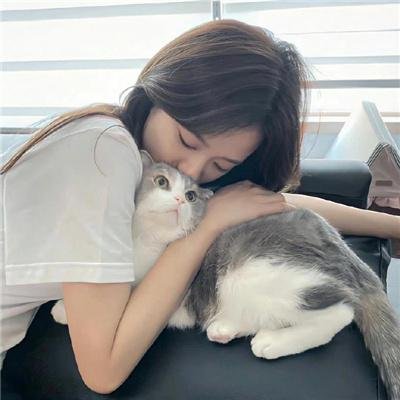 胡狼来了